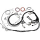 Haltech Haltech Uni V8 Term Engine Harness for Nexus R5 VCU | race-shop.it