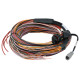 Haltech Haltech PD16 Flying Lead Harness - 5M | race-shop.it