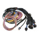 Motec Haltech Nexus R5 + Universal Wire-in Harness Kit - 5M (16`) | race-shop.it