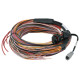 Haltech Haltech PD16 PDM + Flying Lead Harness (5M) | race-shop.it