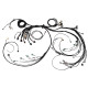 Haltech Haltech Nexus R5 LSx DBW Terminated Harness | race-shop.it