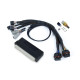 Haltech Haltech Nexus S2/S3 Plug `n` Play Adapter Harness Honda EP3 | race-shop.it