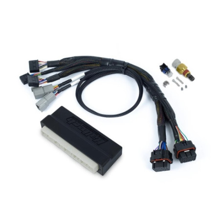 Haltech Haltech Nexus S2/S3 Plug `n` Play Adapter Harness Honda EP3 | race-shop.it
