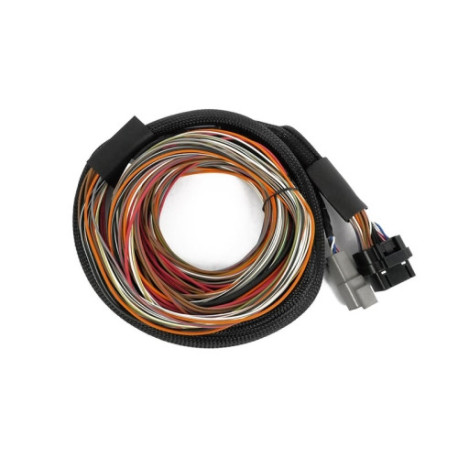 Motec Haltech Nexus IO16 Universal Wire in Harness 2.6m (8.5`) | race-shop.it