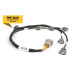Haltech Haltech Nexus i6 R35 COP Ignition Harness | race-shop.it