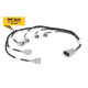 Haltech Haltech i6 Sumitomo (Denso) Primary Injector Harness | race-shop.it