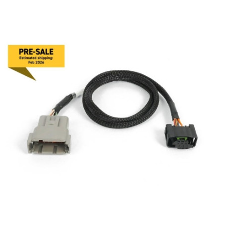 Haltech Haltech Nexus DBW Subharness - Suits Bosch | race-shop.it