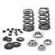 Parti del motore SUPERTECH Valve Spring Kit Honda F20/22C K20/24 | race-shop.it