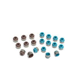 SUPERTECH paraoli valvole per Lamborghini V10 FSI (aspirazione, poliacrilato), stelo 6 mm, 10 pz