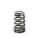 Parti del motore Molla valvole SUPERTECH Nissan TB48 Singola | race-shop.it