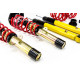 Completo MTS Technik Kit coilover della serie MTS STREET per BMW 1 (F40) 07/19 - (Gold) | race-shop.it