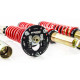 Completo MTS Technik Kit coilover della serie MTS STANCE per BMW 7 (E23) 09/81 - 04/88 (Gold) | race-shop.it