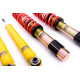 Completo MTS Technik Kit coilover MTS STANCE SERIES per BMW 5 Touring (E39) 11/96 - 05/04 (Gold) | race-shop.it