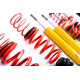 Completo MTS Technik Kit coilover MTS STANCE SERIES per BMW 5 Touring (E39) 11/96 - 05/04 (Gold) | race-shop.it