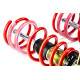 Completo MTS Technik Kit coilover della serie MTS STREET per BMW 3 Touring (G21/G81) 07/19 - (Gold) | race-shop.it