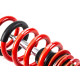 Completo MTS Technik Kit coilover della serie MTS STREET per BMW 5 Touring (F11) 11/09 - 02/17 (Gold) | race-shop.it