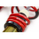 Completo MTS Technik Kit coilover della serie MTS STREET per Ford FIESTA V (JH/JD) 11/01 - 12/11 (Gold) | race-shop.it