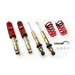 Kit coilover della serie MTS STREET per Lexus GS (S19) 04/05 - 11/11 (Gold)