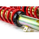 Completo MTS Technik Kit coilover della serie MTS STREET per Lexus IS III (E3) 04/13 - 09/20 (Gold) | race-shop.it