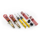 Completo MTS Technik Kit coilover della serie STREET MTS per Nissan 370Z Coupé (Z34) 01/09 - (Gold) | race-shop.it