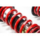 Completo MTS Technik Kit coilover della serie MTS STREET per Scion FR-S Coupé 03/12 - (Gold) | race-shop.it