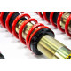 Completo MTS Technik Kit coilover della serie STREET MTS per Volkswagen GOLF I (17) 04/74 - 07/85 (Gold) | race-shop.it