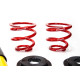 Completo MTS Technik Kit coilover della serie MTS STREET per Audi A3 (8L) 09/96 - 05/03 (Gold) | race-shop.it