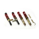 Completo MTS Technik Kit coilover della serie STREET MTS per Volkswagen DERBY (86) 02/77 - 09/81 (Gold) | race-shop.it