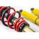Completo MTS Technik Kit coilover della serie MTS STREET per Volkswagen CADDY III Box Body/MPV (2K/2C) 03/04 - 05/15 (Gold) | race-shop.it
