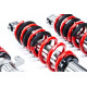 Completo MTS Technik Kit coilover della serie MTS STANCE per Audi 80 B4 Avant (8C) 09/91 - 01/96 (Inox) | race-shop.it