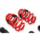 Completo MTS Technik Kit coilover della serie MTS STREET per Audi A4 B9 Avant (8W) 08/15 - (Inox) | race-shop.it