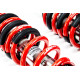 Completo MTS Technik Kit coilover della serie MTS STANCE per Audi 80 B4 Avant (8C) 09/91 - 01/96 (Inox) | race-shop.it