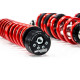 Completo MTS Technik Kit coilover della serie MTS STREET per Audi 80 B4 Avant (8C) 09/91 - 01/96 (Inox) | race-shop.it