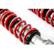 Completo MTS Technik Kit coilover MTS STANCE SERIES per BMW 3 (E36) 09/90 - 11/98 (Inox) | race-shop.it