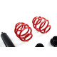Completo MTS Technik Kit coilover della serie MTS STREET per BMW 3 Compact (E36) 01/94 - 08/00 (Inox) | race-shop.it