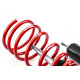 Completo MTS Technik Kit coilover della serie MTS COMFORT per BMW 3 Compact (E36) 01/94 - 08/00 (Inox) | race-shop.it