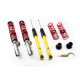 Completo MTS Technik Kit coilover della serie MTS STANCE per Audi A3 (8L) 09/96 - 05/03 (Inox) | race-shop.it