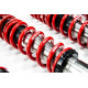 Completo MTS Technik Kit coilover della serie MTS STANCE per Volkswagen GOLF II (19E/1G1) 08/83 - 12/92 (Inox) | race-shop.it