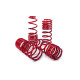 Completo MTS Technik Set di molle ribassate MTS Technik BMW 4 Gran Coupe (F36) 03/14 -, 40 mm / 35 mm | race-shop.it
