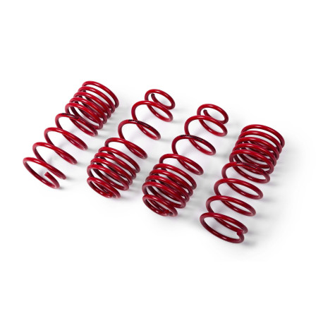 Completo MTS Technik Set di molle ribassate MTS Technik Tesla MODEL 3 (5YJ3) 01/17 - , 30 mm / 25 mm | race-shop.it