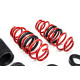 Sospensione regolabile in altezza - Coilovers MTS adjustable springs for Cupra LEON (KL) 09/20 - | race-shop.it
