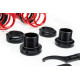 Sospensione regolabile in altezza - Coilovers MTS adjustable springs for Cupra LEON (KL) 09/20 - | race-shop.it