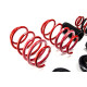 Sospensione regolabile in altezza - Coilovers MTS adjustable springs for Audi A3 Limousine (8Y) 04/20 - | race-shop.it
