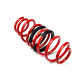 Sospensione regolabile in altezza - Coilovers MTS adjustable springs for Cupra LEON (KL) 09/20 - | race-shop.it