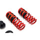 Sospensione regolabile in altezza - Coilovers MTS adjustable springs for BMW 3 (G20/G80/G28) 11/18 - | race-shop.it