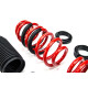 Sospensione regolabile in altezza - Coilovers MTS molle regolabili per Cupra LEON Sportstourer (KL) 09/20 - | race-shop.it