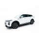 Body kit e accessori visivi Side Skirts Diffusers Omoda 9 Mk1 | race-shop.it