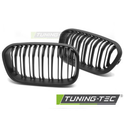 Griglia sportiva per BMW F20 / F21 LCI 15-18 (Nero opaco a doppia barra)