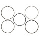 Parti del motore Wiseco Piston Ring Set 77.00mm | race-shop.it