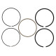 Parti del motore Wiseco Piston Ring Set 99.31mm (Autom. 1 Set For 1 Piston) | race-shop.it